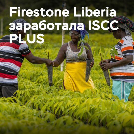 Firestone Liberia获得ISCC PLUS认证