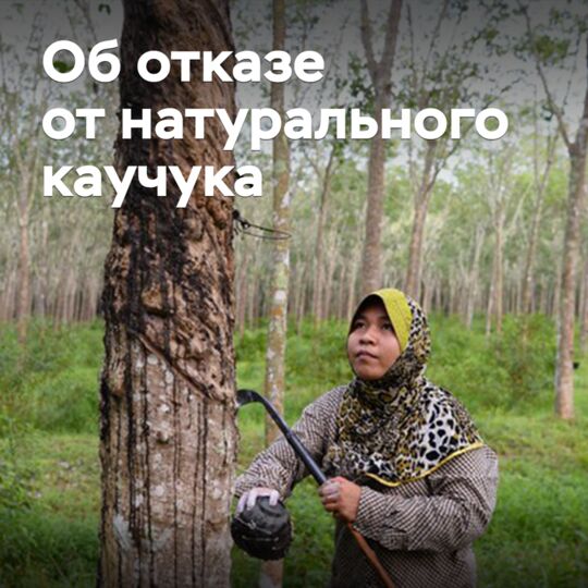 СИБУР：俄羅斯輪胎產業可能放棄天然橡膠<br />
俄羅斯天然橡膠的進口量逐漸減少<br />
俄羅斯輪胎製造商開始轉向使用合成橡膠<br />
這一趨勢可能會對俄羅斯輪胎產業產生重大影響