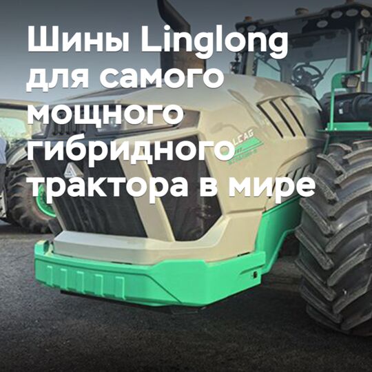 Linglong «»