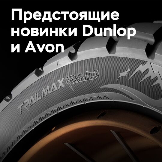 Dunlop 和 Avon 品牌将在德国骑手活动中展示用于 BMW 摩托车的轮胎