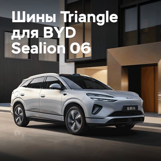 BYD Sealion 06 
Triangle